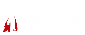 Hero Star Web Sites Worpdress