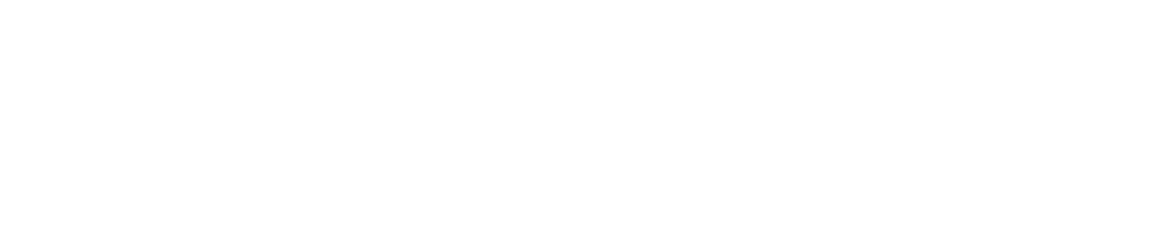 Estudio Dash